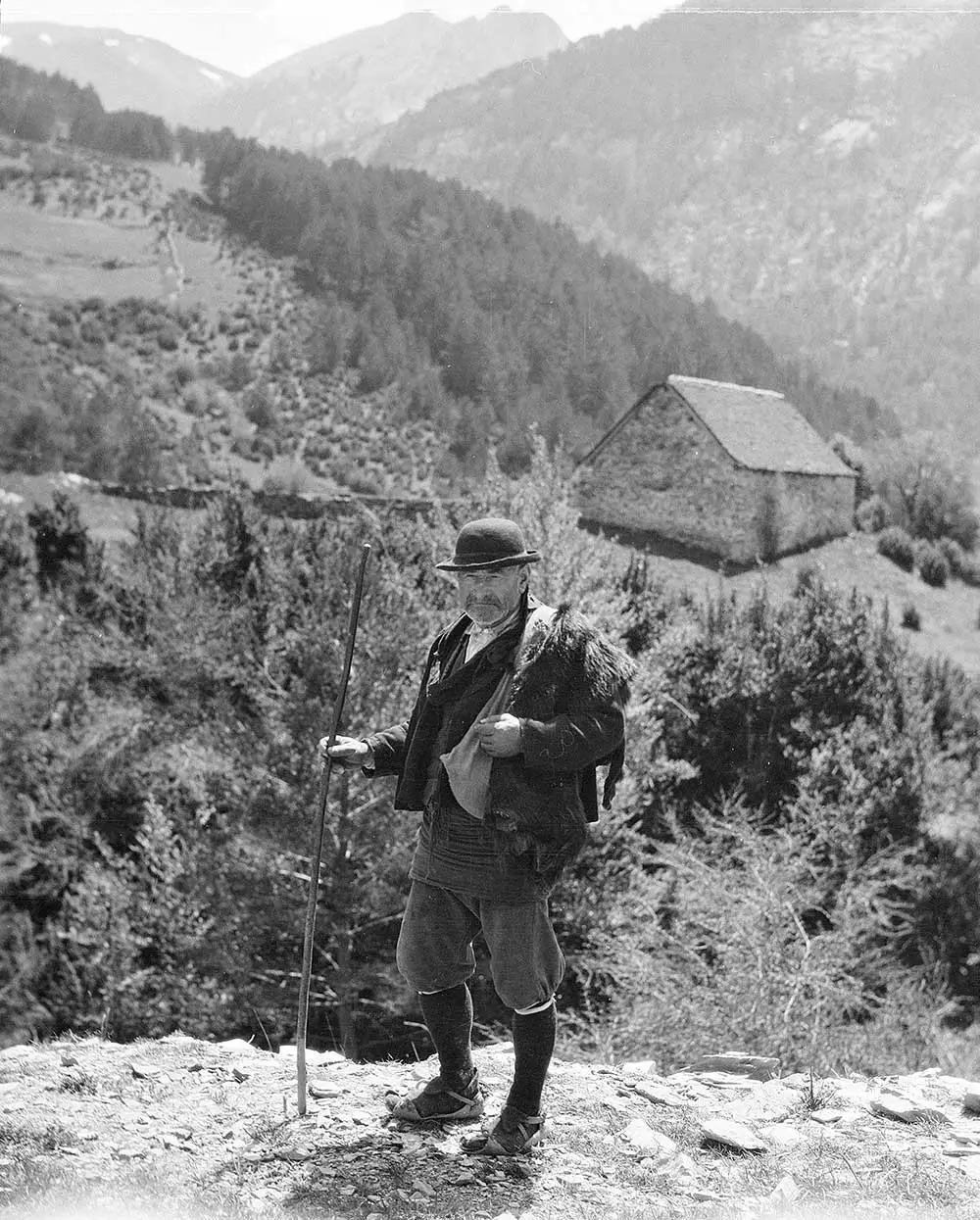 Pastor del valle de Roncal, Navarra.